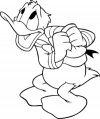 Donald duck